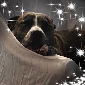 Meet your Posher, Alice